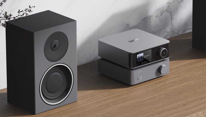 WiiM Vibelink - Ideal for WiiM streamers