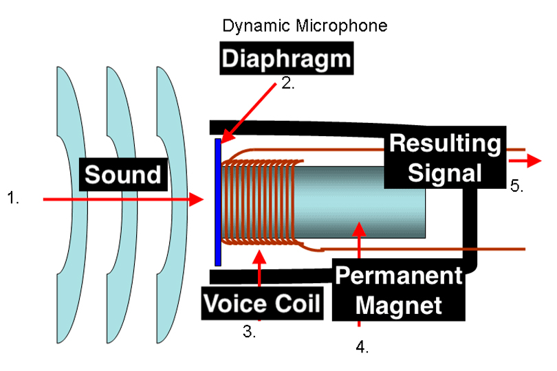 Which Microphone Better