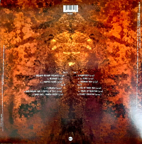 Vinyl Record Pantera - Far Beyond Driven - img.2