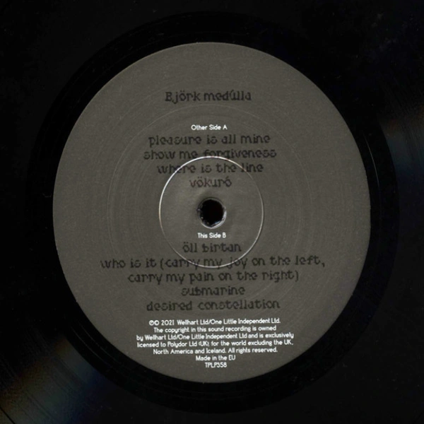 Vinyl Record Bjork – Medulla - 2LP - img.8