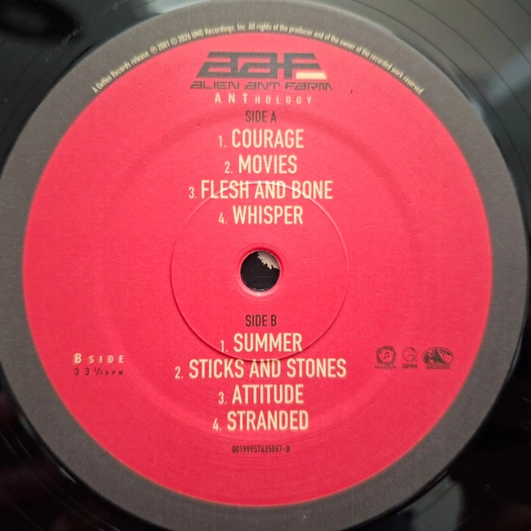 Vinyl Record Alien Ant Farm - ANThology (25th Anniversary) - 2LP - img.7