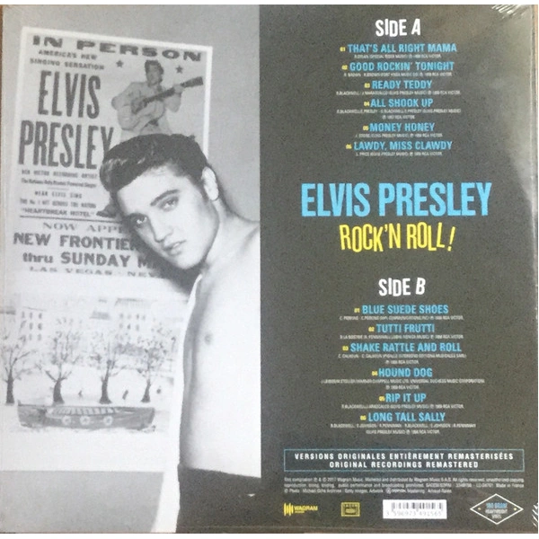 Vinyl Record Elvis Presley - Rock N Roll LP - img.1