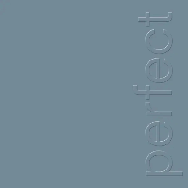 Vinyl Record New Order - The Perfect Kiss LP - img.0