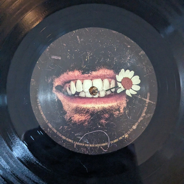 Vinyl Record Hozier - Unreal Unearth 2LP - img.2