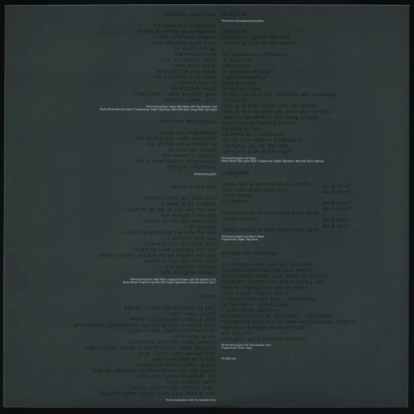 Vinyl Record Bjork – Medulla - 2LP - img.4