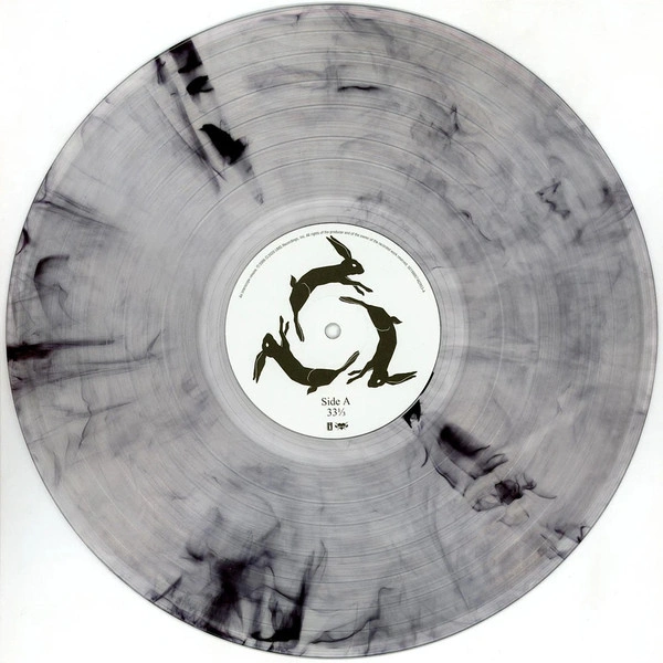 Vinyl Record AFI - Decemberunderground (Transparent Smoke) LP - img.3