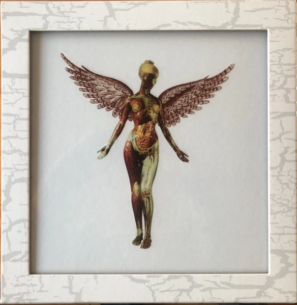 Box set Nirvana – In Utero - Box Set - img.0
