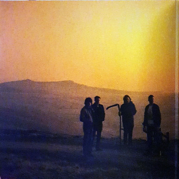 Vinyl Record Arctic Monkeys - Suck It And See LP - img.6