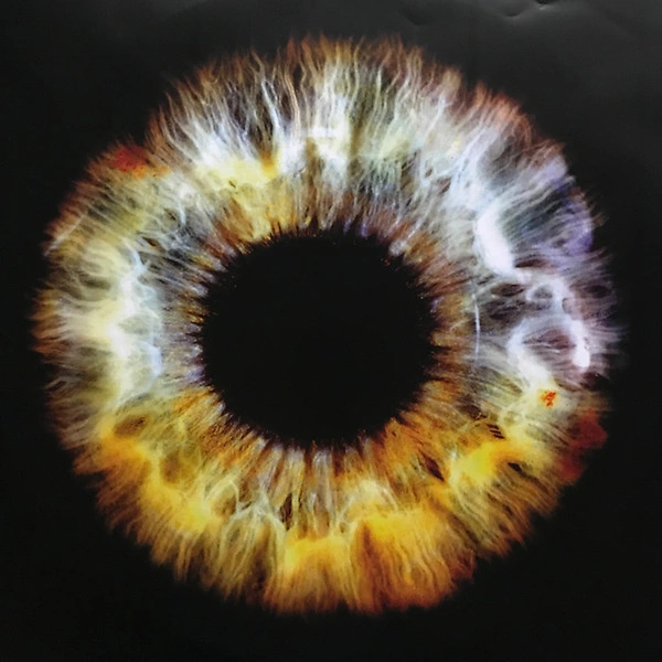 Vinyl Record David Bowie – Earthling - 2LP - img.6