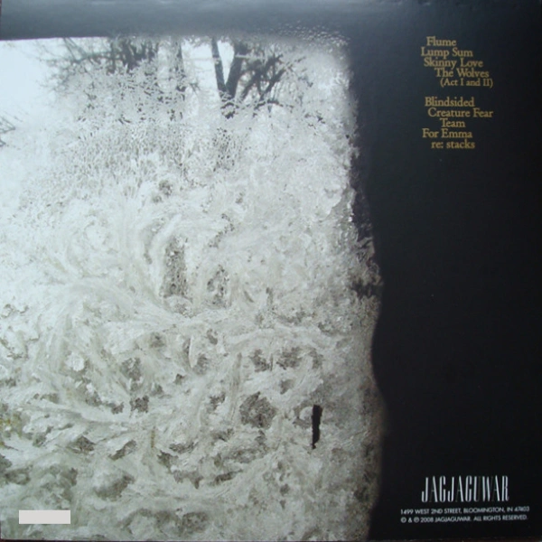 Vinyl Record Bon Iver - For Emma, Forever Ago LP - img.1