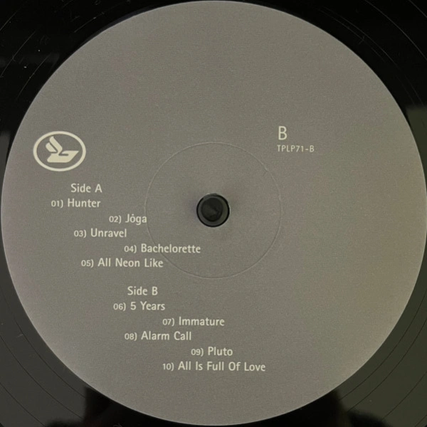 Vinyl Record Bjork – Homogenic LP - img.5