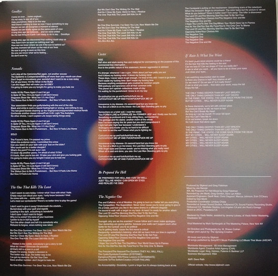 Vinyl Record Slipknot - .5: The Gray Chapter - img.3