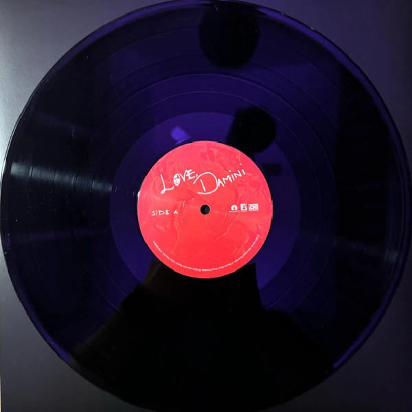 Vinyl Record Burna Boy - Love, Damini - 2LP - img.5