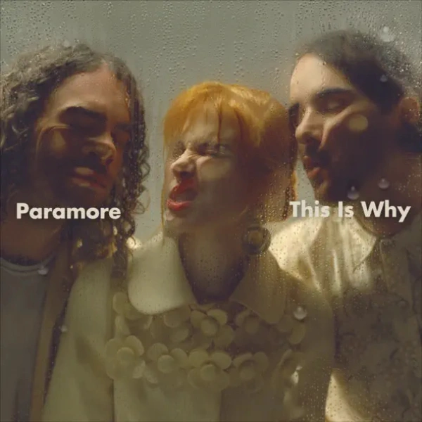 Vinyl Record Paramore – This Is Why LP - img.0