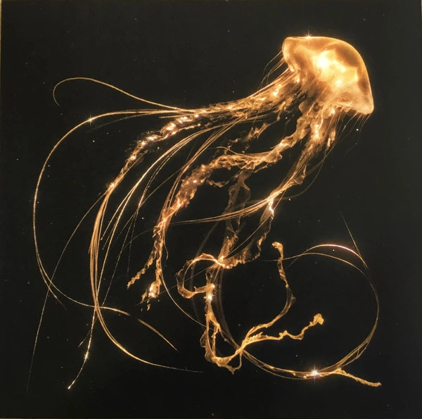 Vinyl Record Royal Blood – Back To The Water Below - LP - img.0