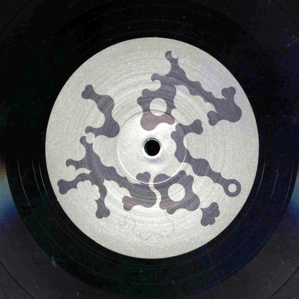 Vinyl Record Bjork – Medulla - 2LP - img.7