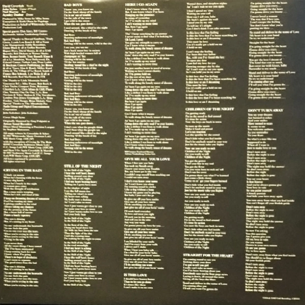 Vinyl Record Whitesnake - Whitesnake LP - img.3