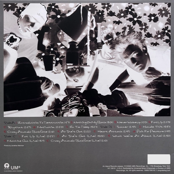 Vinyl Record Sum 41 - All Killer No Filler (25th Anniversary) (Iron Gray/Silver) - 2LP - img.3