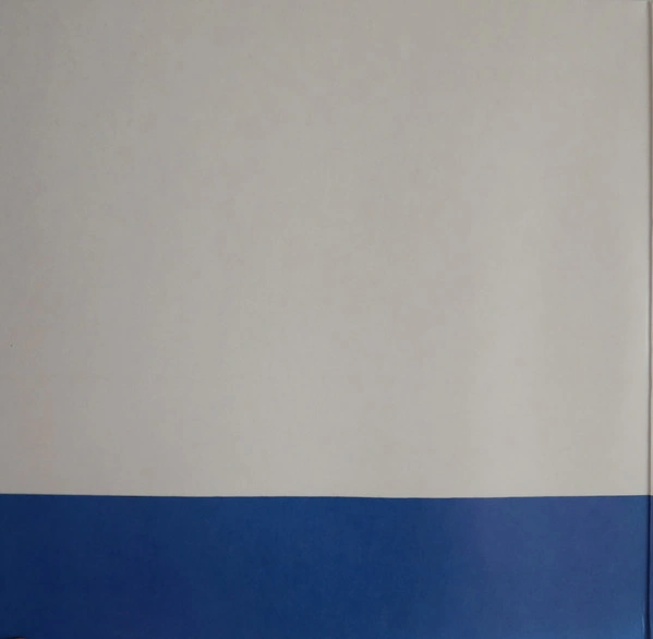 Vinyl Record Hot Chip - Joy in Repetition (White) - 2LP - img.2