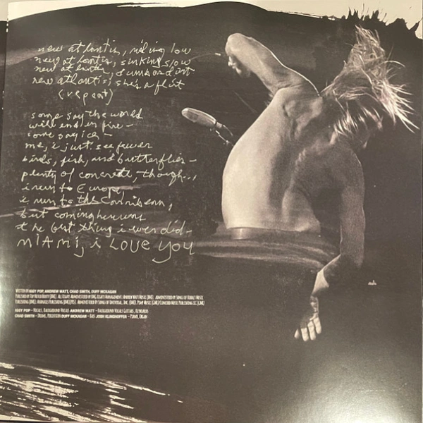 Vinyl Record Iggy Pop – Every Loser LP - img.10