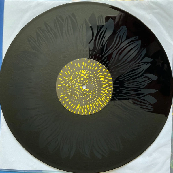 Vinyl Record Stone Temple Pilots - Thank You - 2LP - img.8