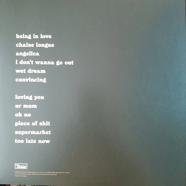 Vinyl Record Wet Leg - Wet Leg LP - img.2
