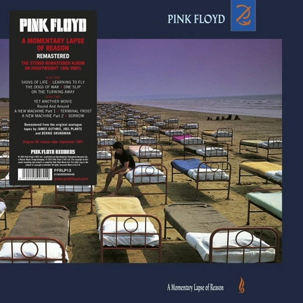 Vinyl Record Pink Floyd - A momentary lapse of reason Vinil - img.0