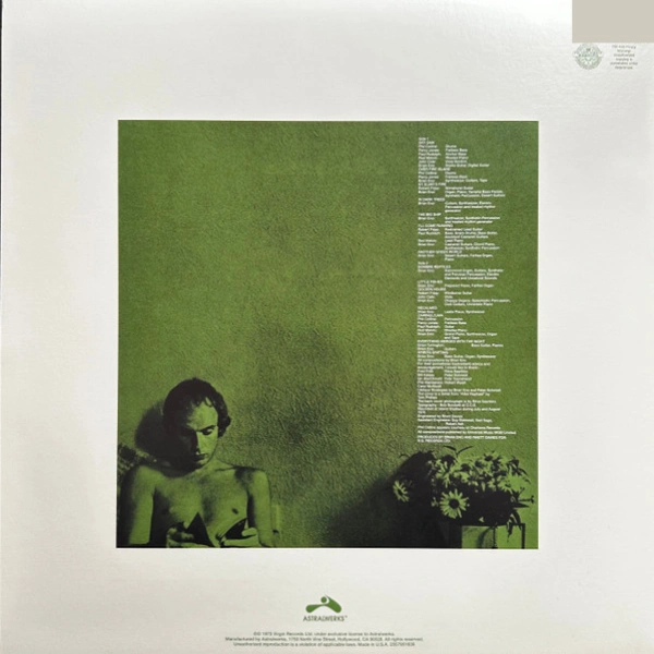 Vinyl Record Eno - Another Green World (140G/2017 Master) LP - img.1