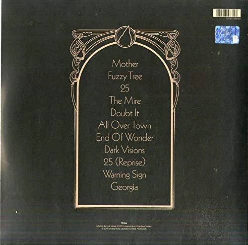 Vinyl Record The Amazons – Future Dust - LP - img.1