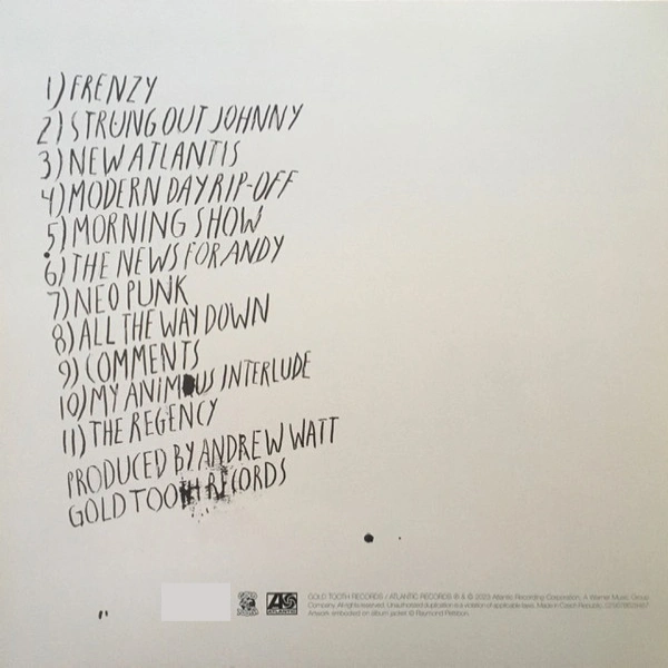 Vinyl Record Iggy Pop – Every Loser LP - img.1