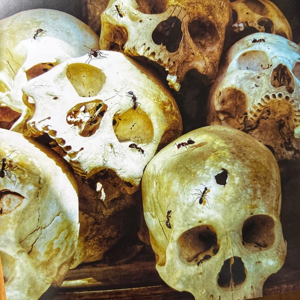 Vinyl Record Dream Theater – Systematic Chaos (Clear) - 2LP - img.9