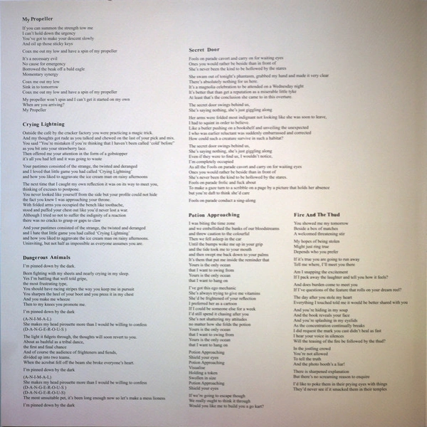 Vinyl Record Arctic Monkeys – Humbug LP - img.5