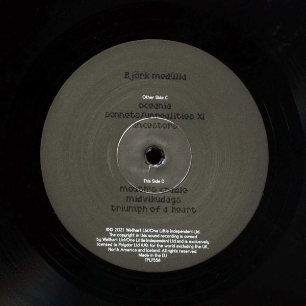 Vinyl Record Bjork – Medulla - 2LP - img.10