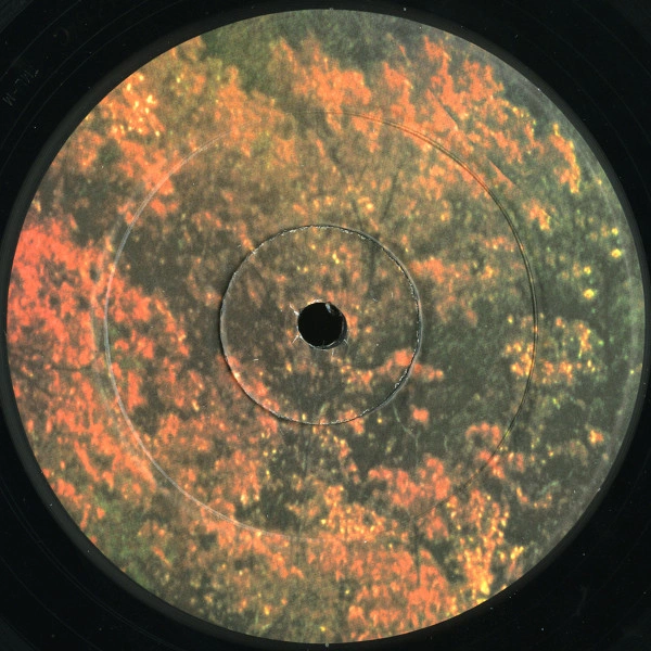 Vinyl Record Tame Impala - Innerspeaker - 2LP - img.10