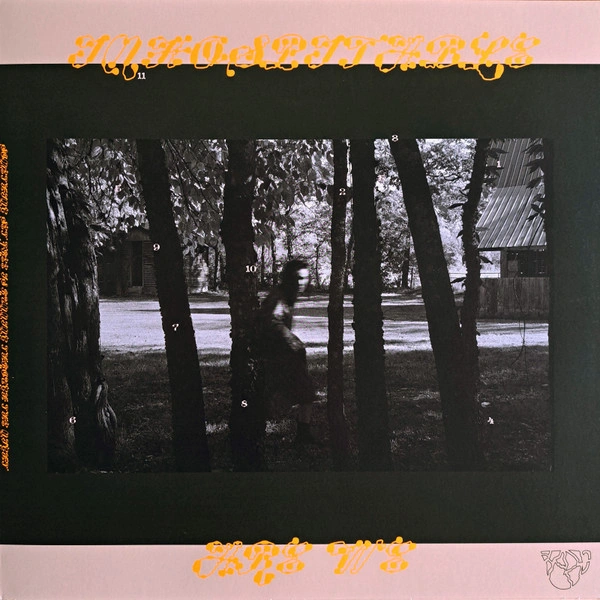 Vinyl Record Mitski - The Land Is Inhospitable And So Are We LP - img.3
