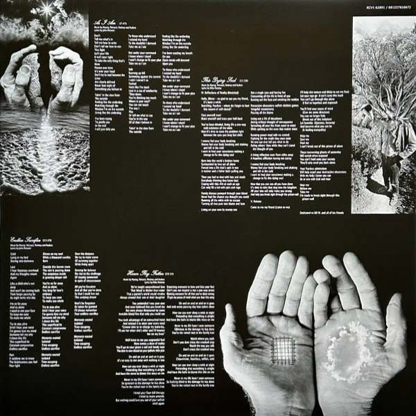 Vinyl Record Dream Theater - Train Of Thought (Clear) - 2LP - img.7