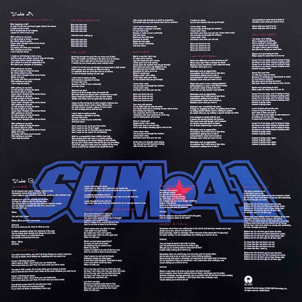 Vinyl Record Sum 41 - All Killer No Filler (25th Anniversary) (Iron Gray/Silver) - 2LP - img.9