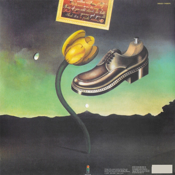 Vinyl Record Nick Drake - Pink Moon LP - img.3