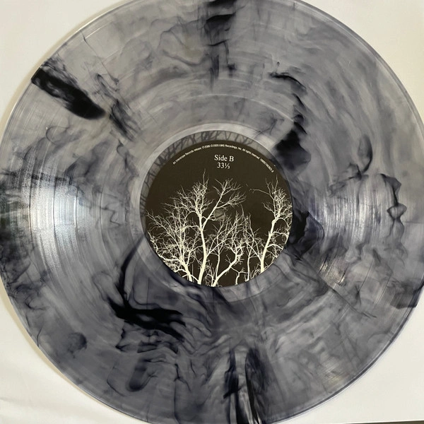 Vinyl Record AFI - Decemberunderground (Transparent Smoke) LP - img.4
