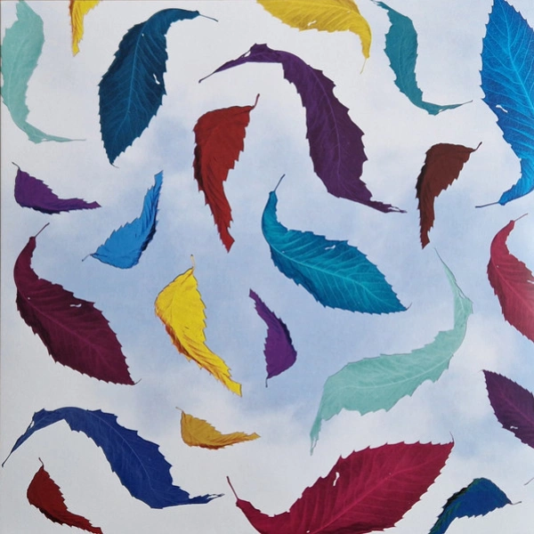 Vinyl Record New Order - True Faith Remix LP - img.0