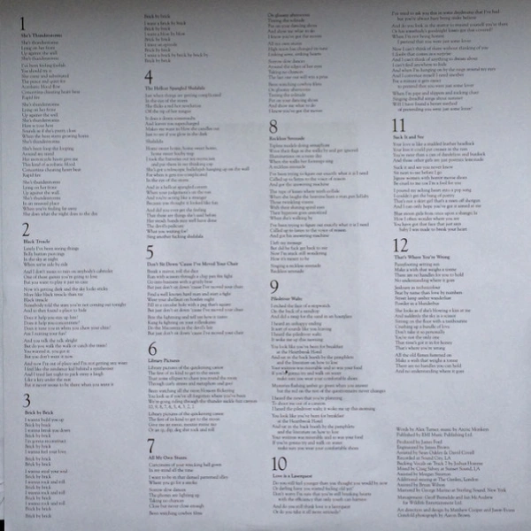 Vinyl Record Arctic Monkeys - Suck It And See LP - img.5