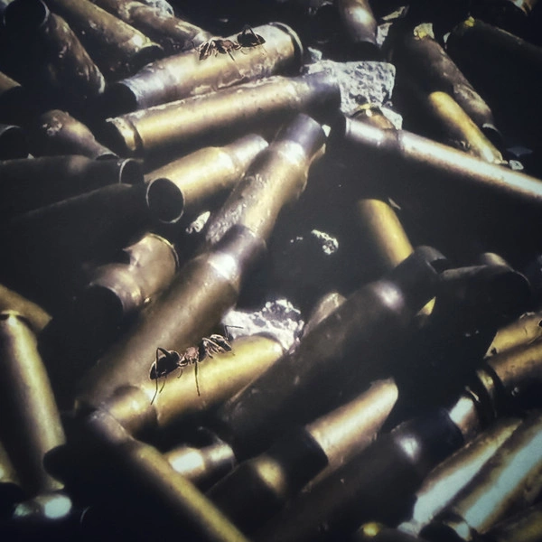 Vinyl Record Dream Theater – Systematic Chaos (Clear) - 2LP - img.14