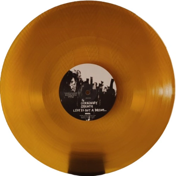 Vinyl Record Avenged Sevenfold – Life Is But A Dream... (Transparent Orange) - 2LP - img.9