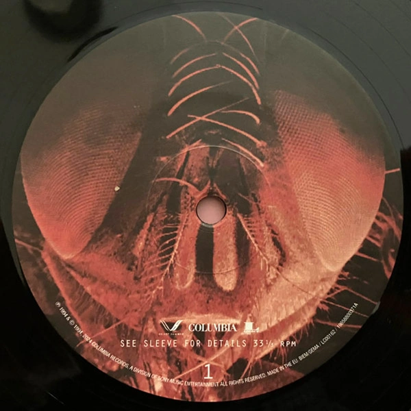 Vinyl Record Alice In Chains - Jar Of Flies (30th Anniversary) LP - img.2