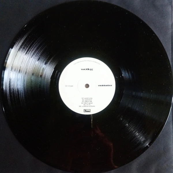 Vinyl Record Wet Leg - Moisturizer LP - img.8