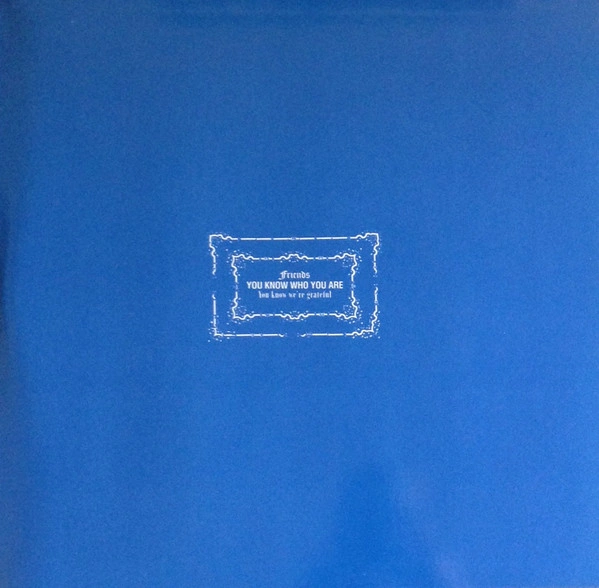 Vinyl Record Blur - Modern Life Is Rubbish - img.3