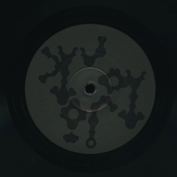 Vinyl Record Bjork – Medulla - 2LP - img.9