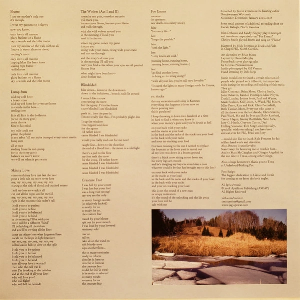 Vinyl Record Bon Iver - For Emma, Forever Ago LP - img.4