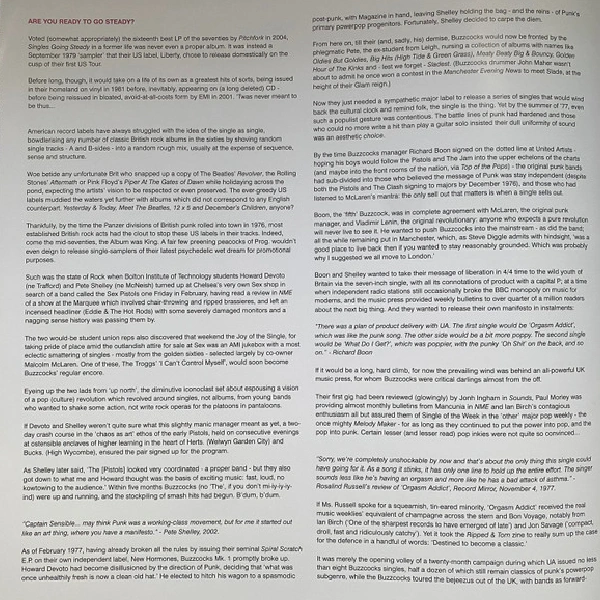 Vinyl Record Buzzcocks – Singles Going Steady (2019 Remastered Version) LP - img.6