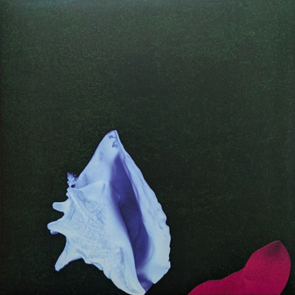 Vinyl Record New Order - Touched By The Hand Of God LP - img.0